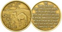 Camel One Day At A Time Bronze AA Coin with poem