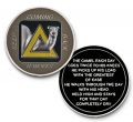 AA Sober Camel Black-Yellow Tri-Plated Medallion
