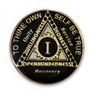 12 Jewel Black Tri-plated Sunlight of the Spirit AA Coin